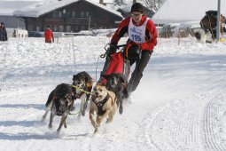Lenk 2012 SM
